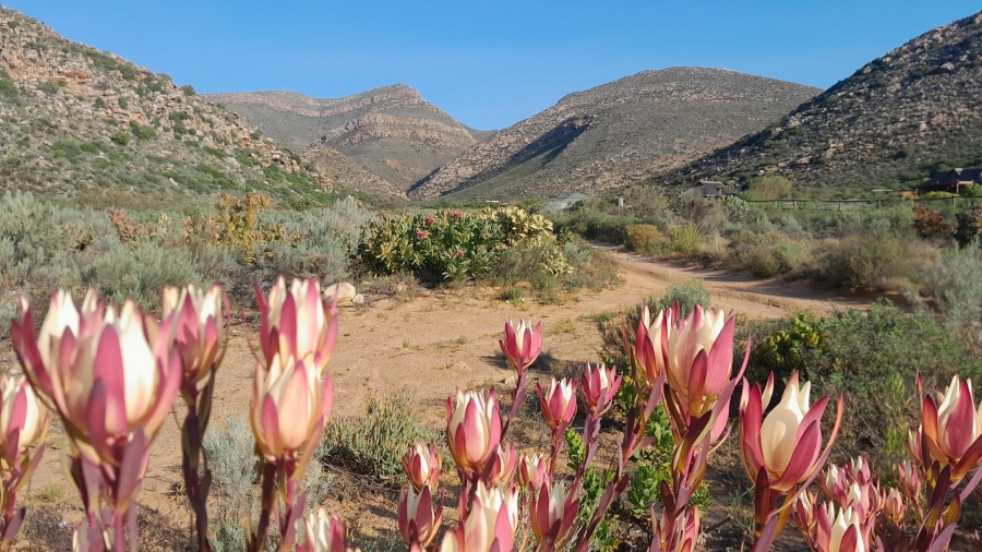 Commercial Property for Sale in Worcester Rural Western Cape